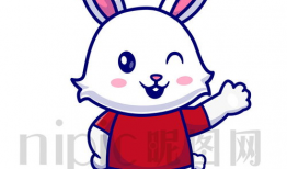 兔子漫画,趣味横生的动物世界